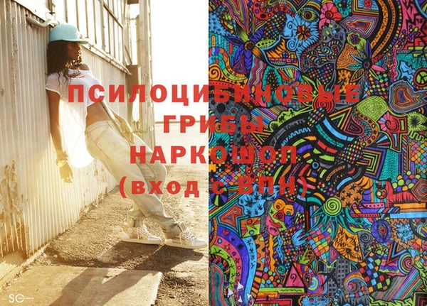 spice Касимов